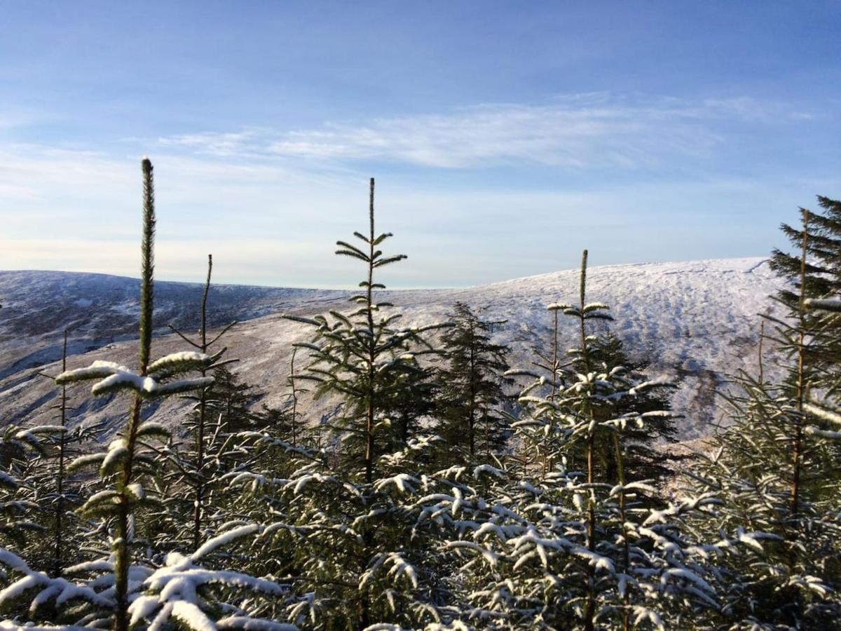 Aughavannagh Yurt Glamping Aughrim Dış mekan fotoğraf