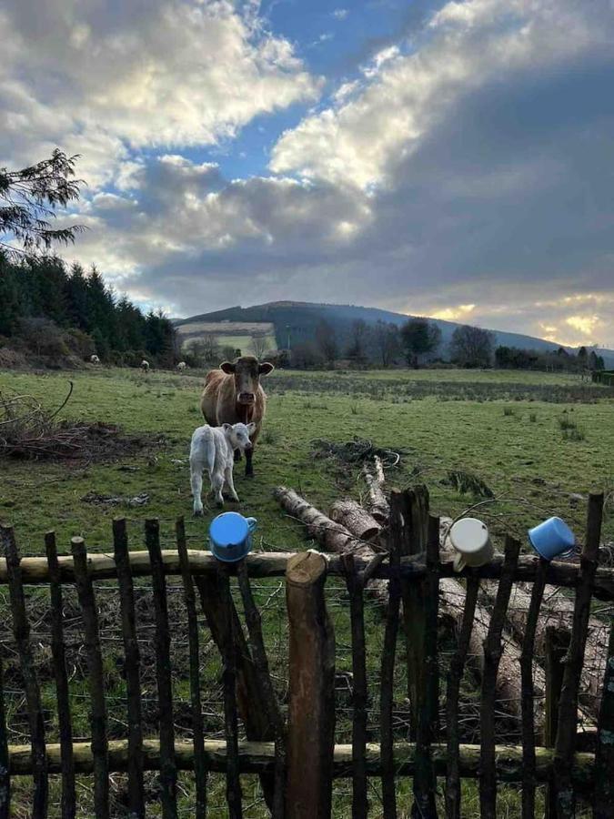 Aughavannagh Yurt Glamping Aughrim Dış mekan fotoğraf