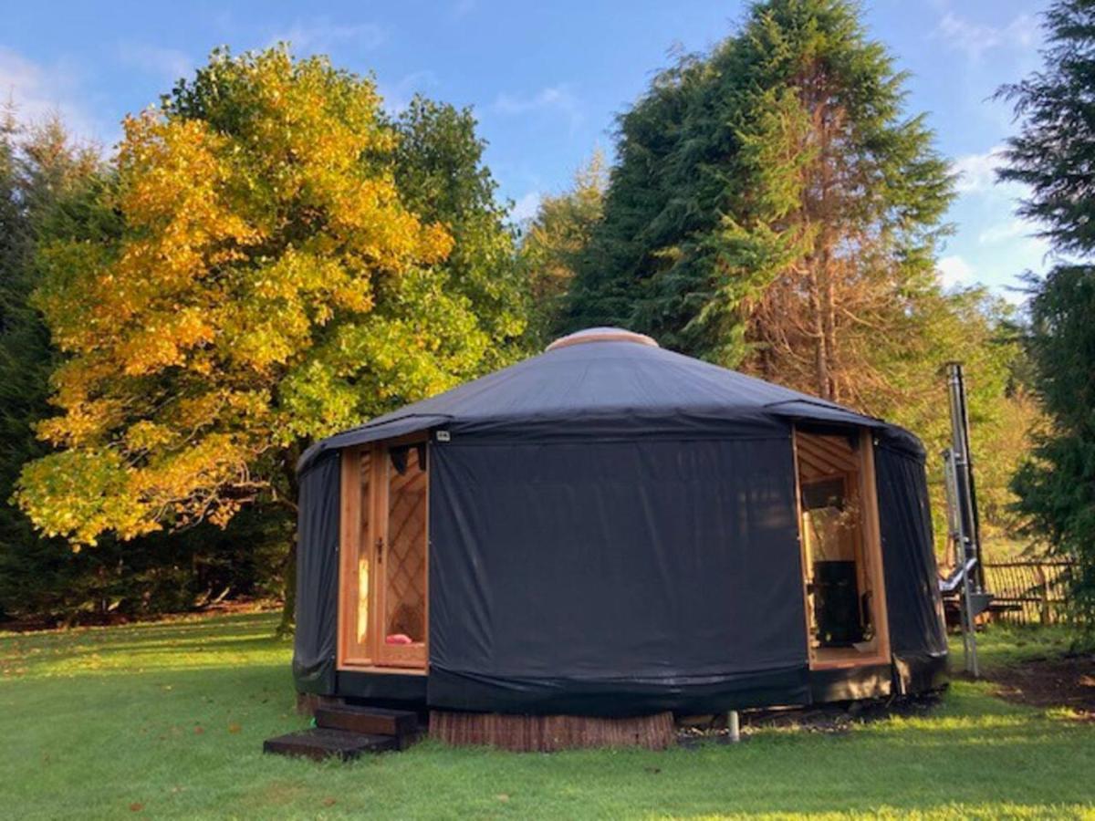 Aughavannagh Yurt Glamping Aughrim Dış mekan fotoğraf