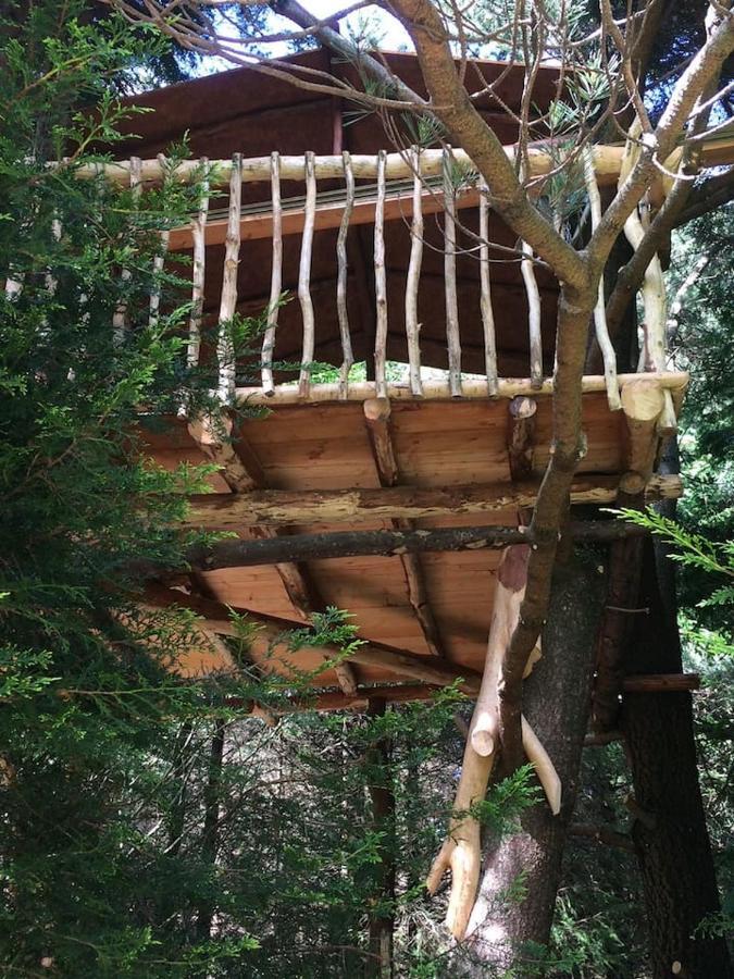Aughavannagh Yurt Glamping Aughrim Dış mekan fotoğraf