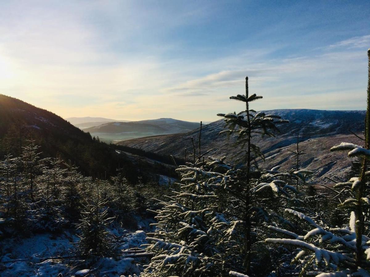 Aughavannagh Yurt Glamping Aughrim Dış mekan fotoğraf